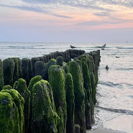 Appartamento Sylter Residenz